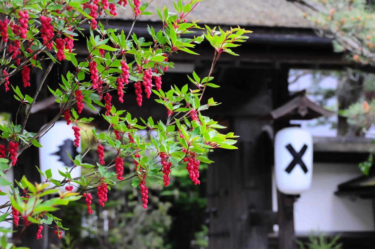 Sanboin Hotel Koyasan Esterno foto